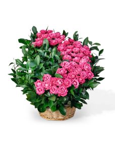 Корзина из 55 розовых роз на похороны за 9680 ₽