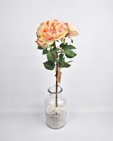 Искусств. розово-желтые пионовидные куст. розы за 990 ₽