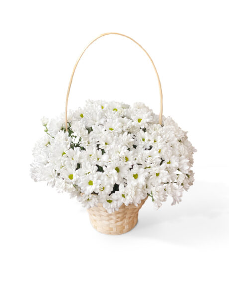 Траурная корзина из 12 белых хризантем
